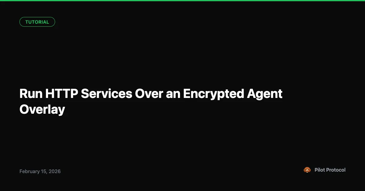 Run HTTP Services Over an Encrypted Agent Overlay